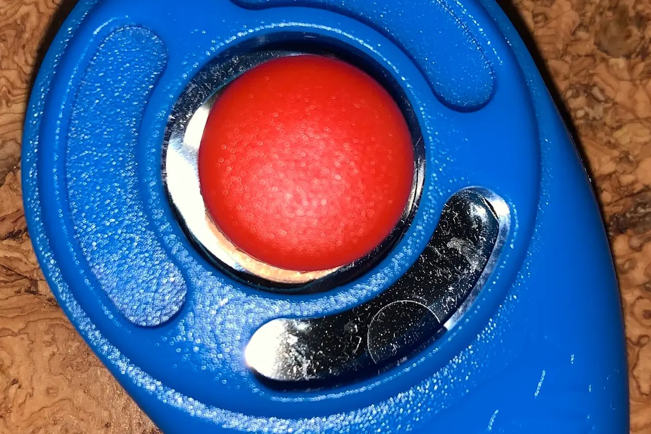 Clicker de adestramento azul, com o botão vermelho no meio e a lâmina de metal que estala, sobre uma mesa de cortiça.